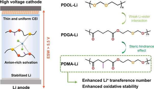 Regulating the solvation structure in polymer electrolytes for high ...
