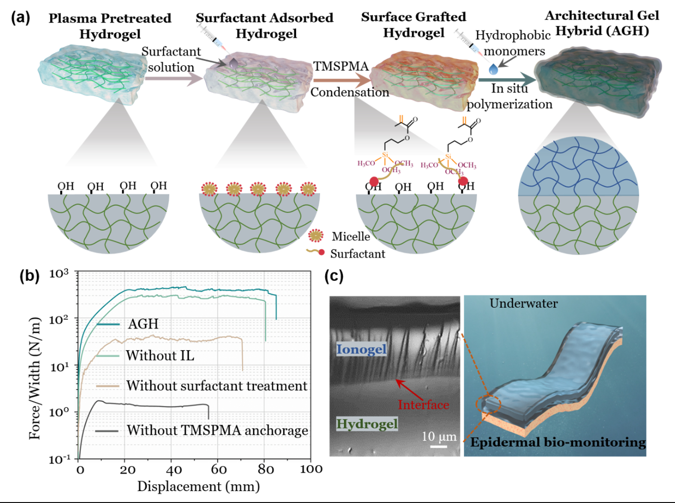 Universal interfacial strategy enabling ultra-robust hydrogel-elastomer ...