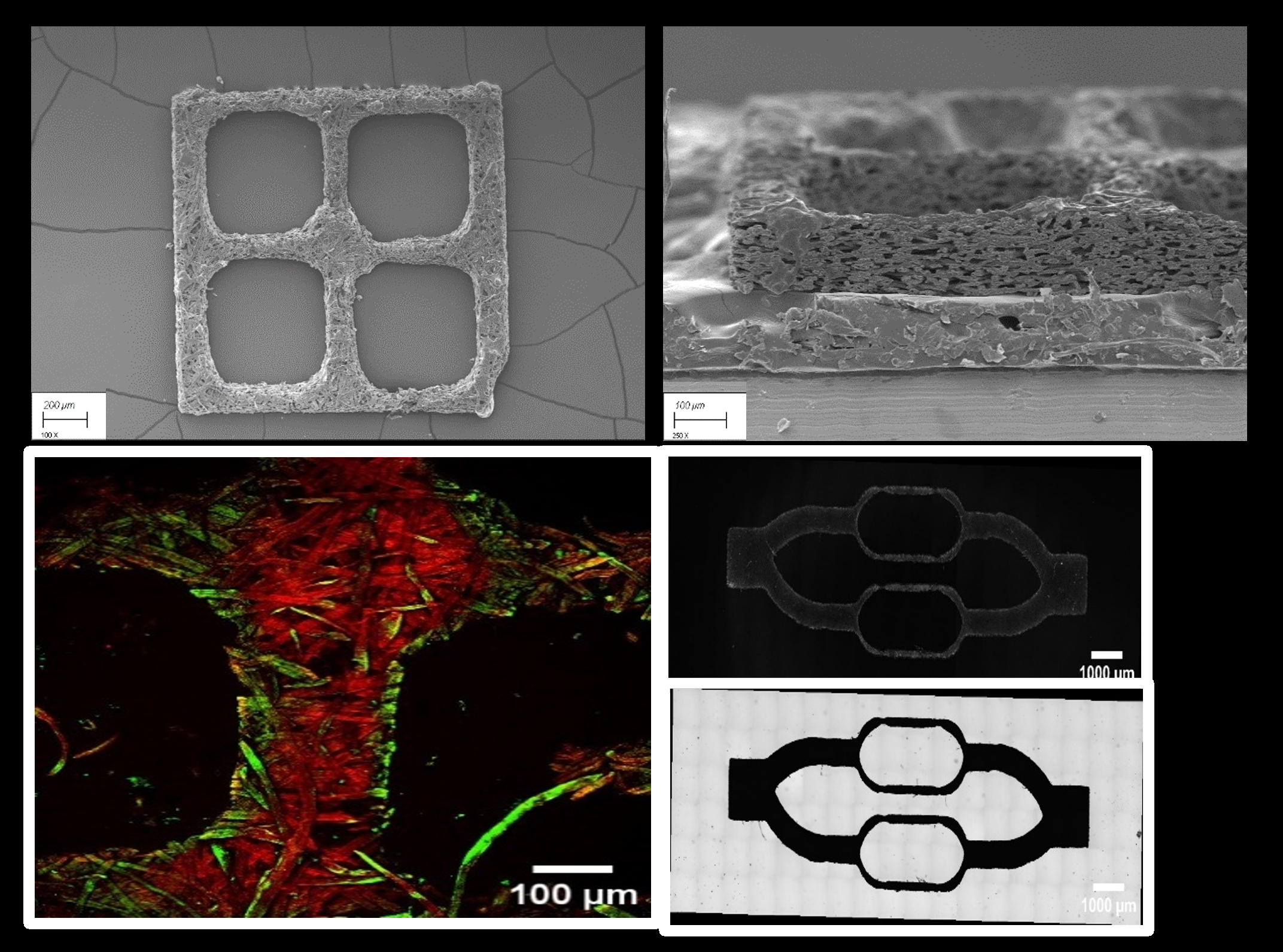 Paper-based 3D cell culture with scaffold and fluid transport functions ...