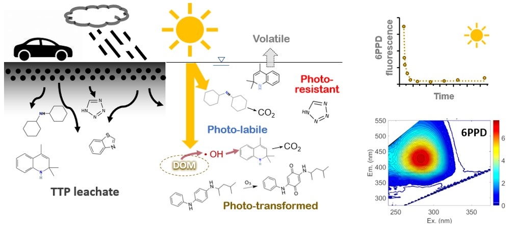 Identification of tire wear particle leached compounds and their ...