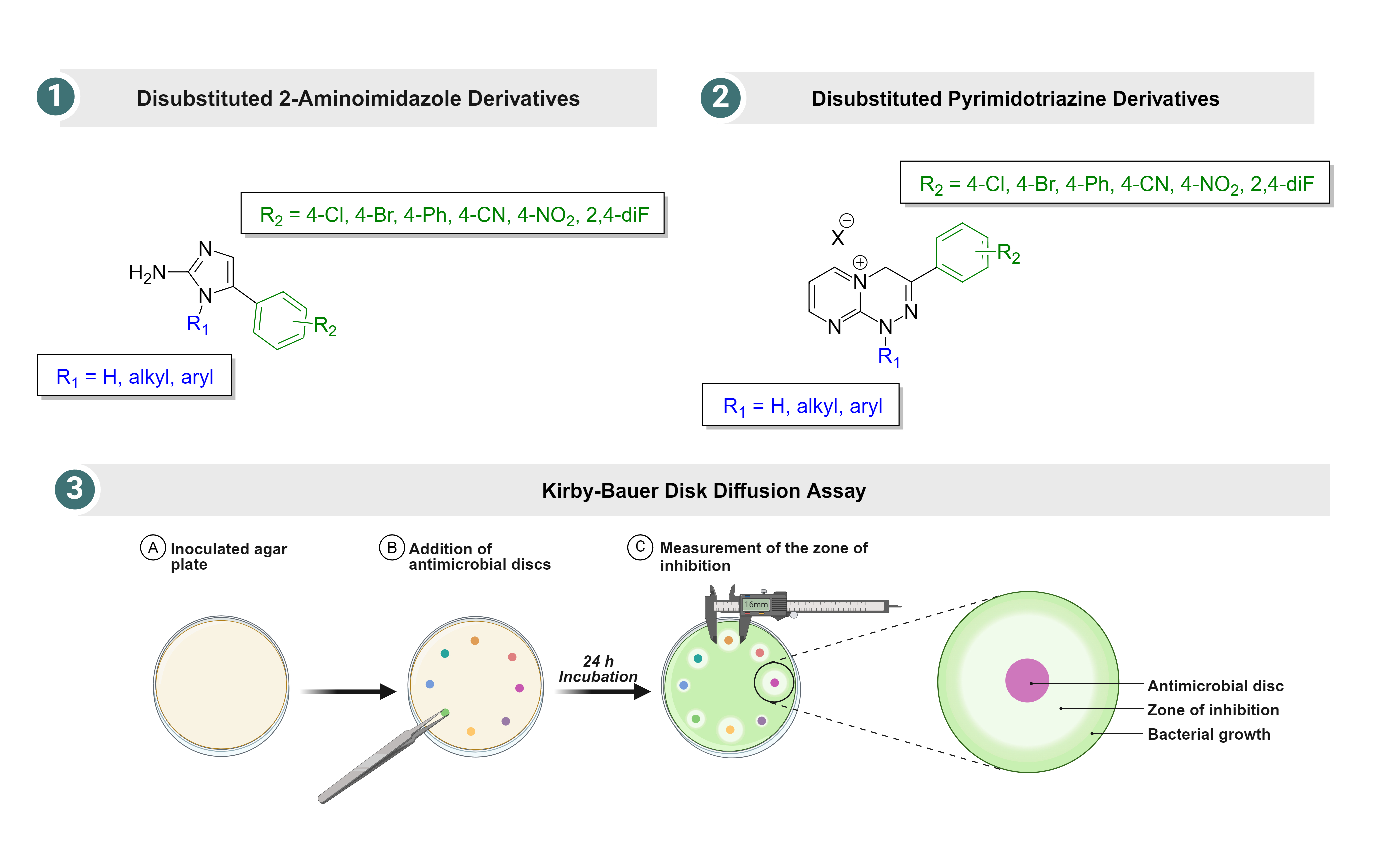 Synthesis and microbiological assessment of novel antimicrobial agents ...