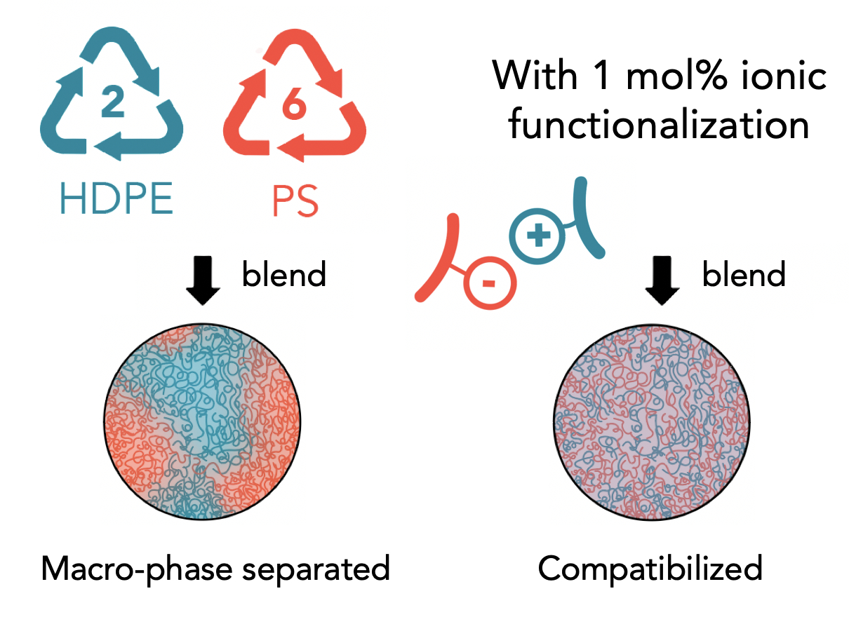 Immiscible polymers are compatibilized via functionalization with acid and base groups that undergo proton exchange to form electrostatic interactions, leading to improved blend properties.