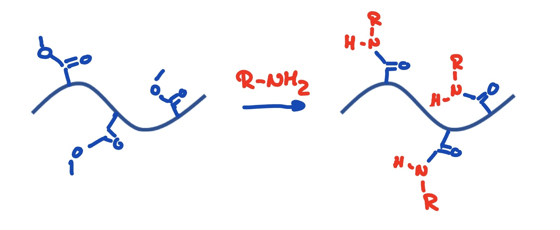 Functional polymers through amidation of polymers with non-activated ...