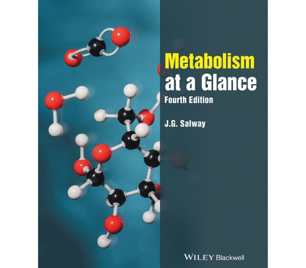 Metabolism at a Glance