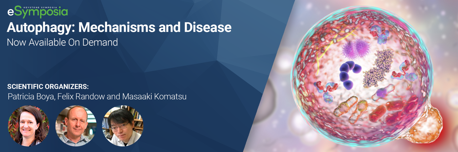 Register for #Autophagy and Disease on Dec. 3-6 in Keystone, CO
