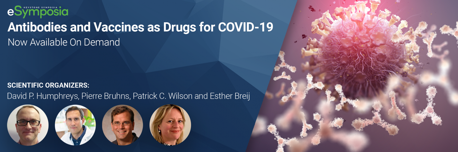 Antibodies and Vaccines as Drugs for COVID-19