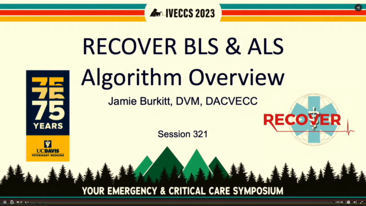 RECOVER BLS and ALS Algorithm Review - Veterinary Emergency and ...