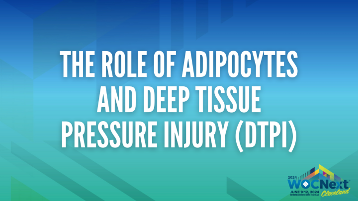 The Role of Adipocytes in Wound Healing and Deep Tissue Pressure Injury ...